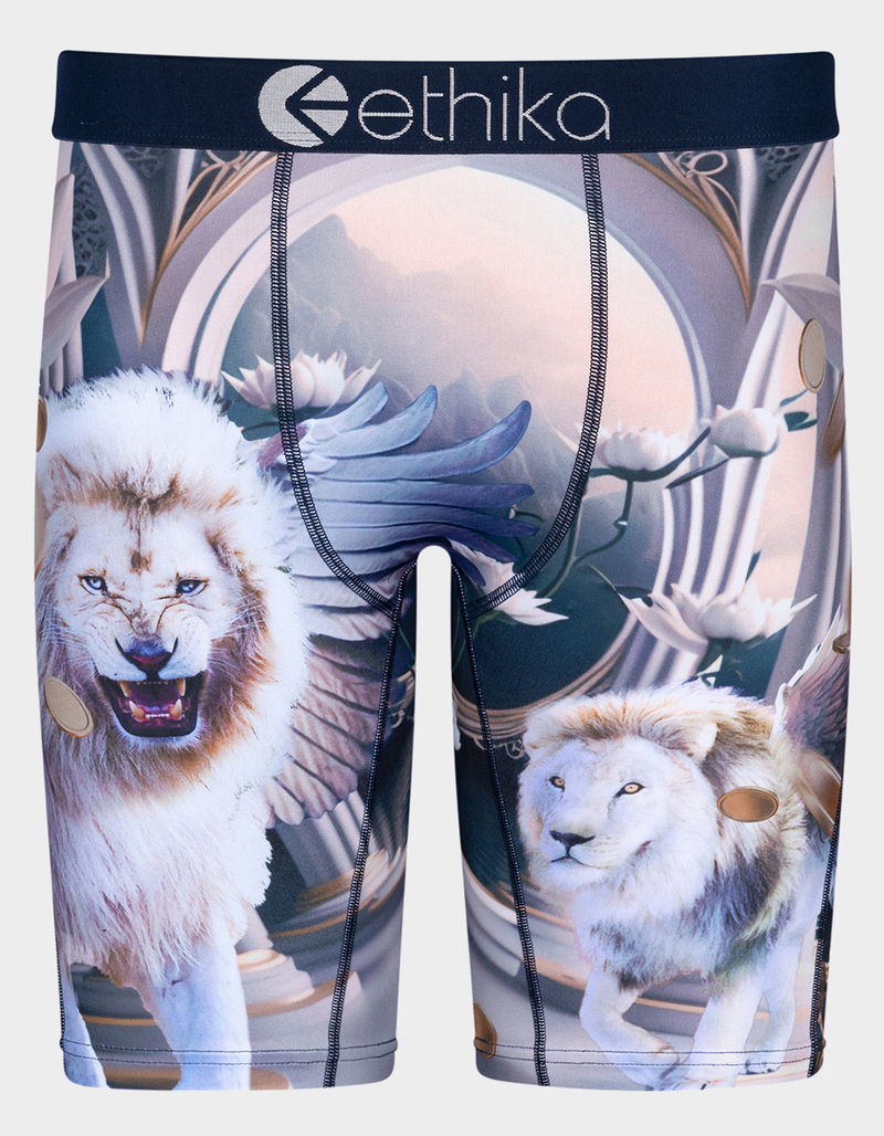 ETHIKA Heavenly Beasts Staple Mens Boxer Briefs image number 0