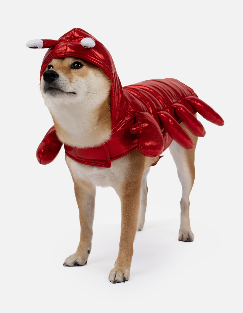 SILVER PAW Lobster Costume image number 3