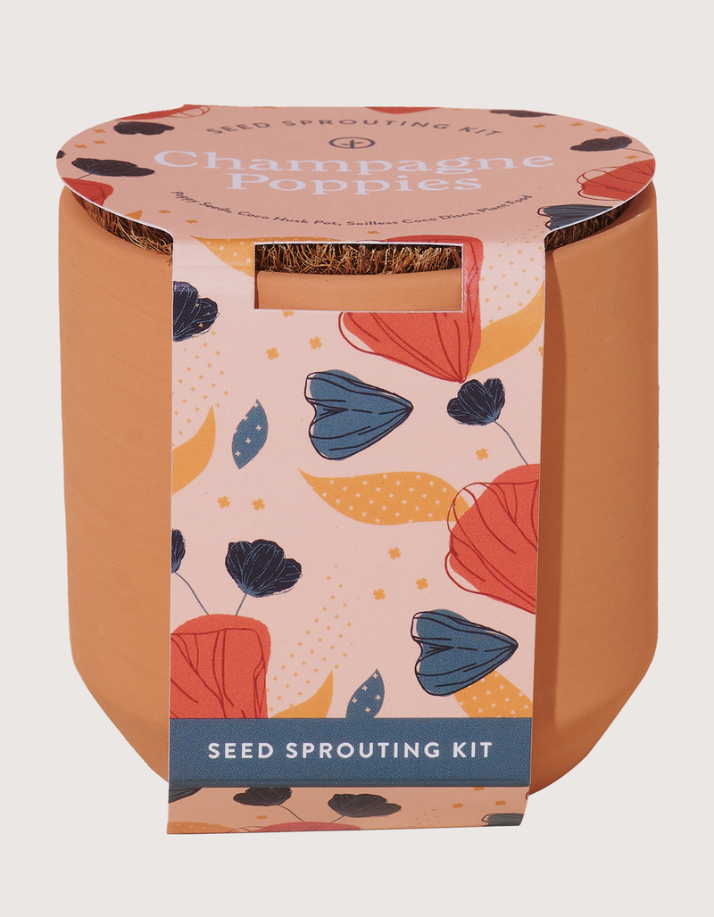 MODERN SPROUT Tiny Terracotta Kit - Champagne Poppies image number 0