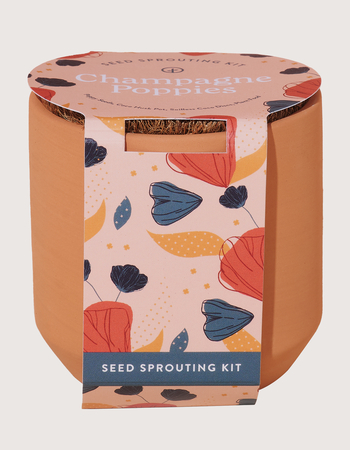 MODERN SPROUT Tiny Terracotta Kit - Champagne Poppies