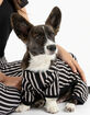 SILVER PAW Basic Stripe Dog Pajamas image number 1