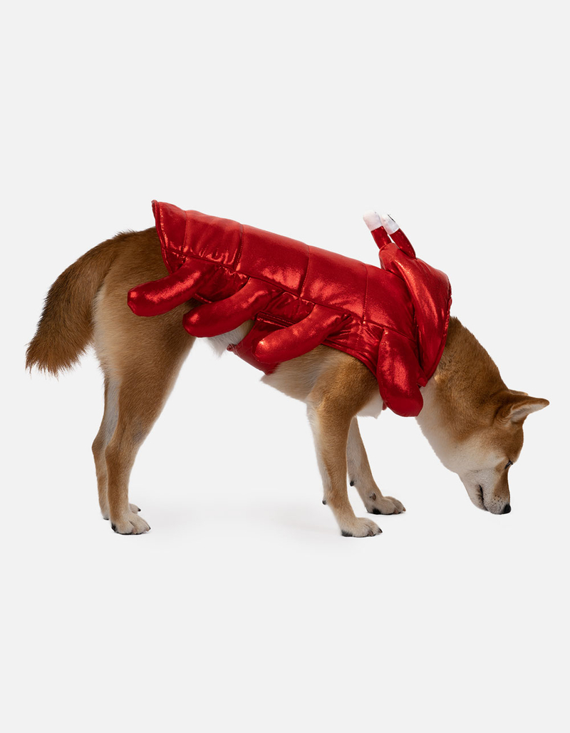 SILVER PAW Lobster Costume image number 2