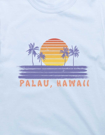 HAWAII Palau Sunset Palm Unisex Tee