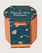 MODERN SPROUT Seed Sprouting Kit - Thank You Daisies image number 1