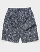NIKE Sneakers Boys Volley Swim Shorts image number 2
