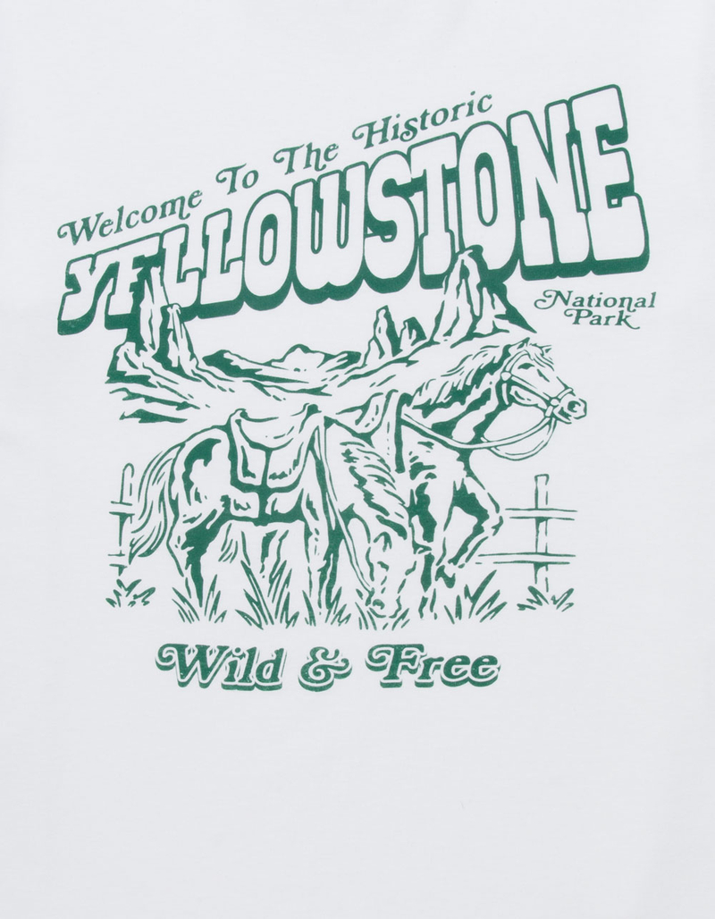 RSQ Mens Yellowstone Tee image number 1