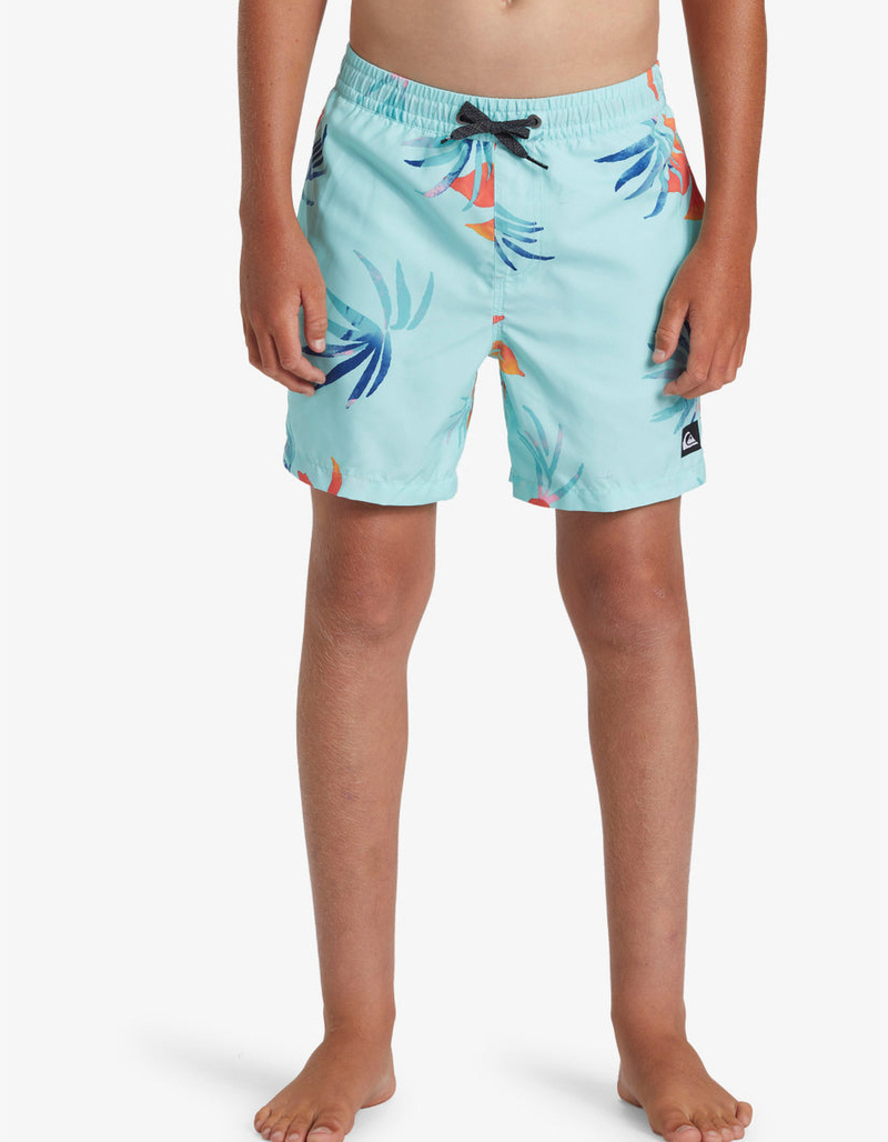 QUIKSILVER Everyday Mix Boys Volley Shorts image number 1