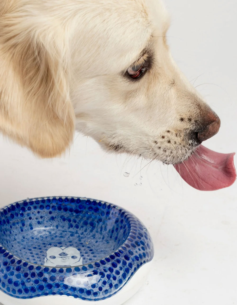 SILVER PAW Compact Cooling Dog Bowl image number 2