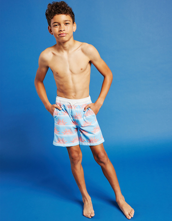 RSQ Boys Sun Stripe 5'' Swim Shorts Primary Image