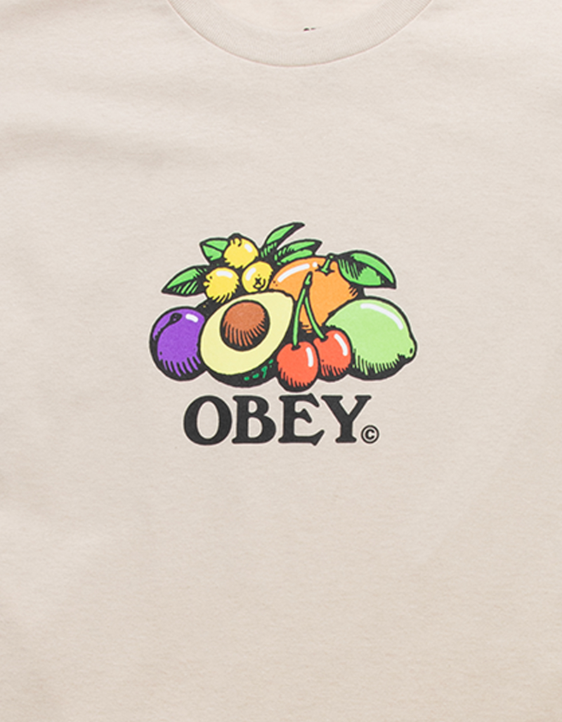 OBEY Fruit Bowl Mens Tee image number 1