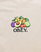 OBEY Fruit Bowl Mens Tee image number 2