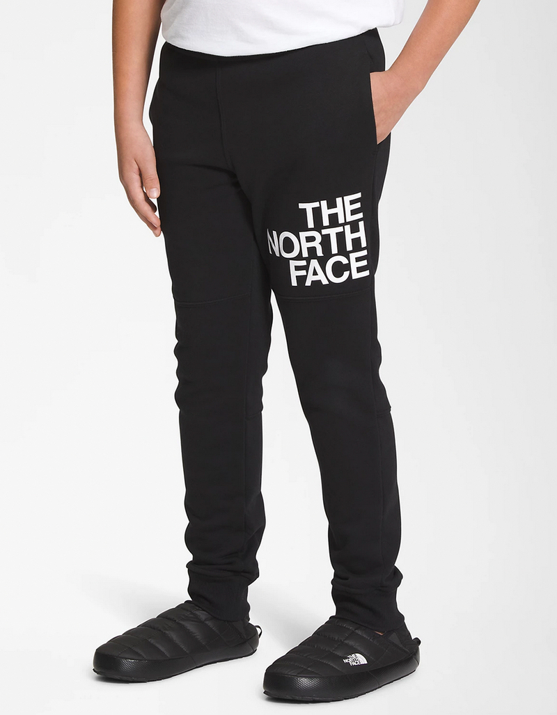 THE NORTH FACE Boys Fleece Pants image number 4
