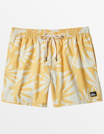 QUIKSILVER Everyday Mix Mens 17'' Volley Shorts