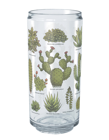 BOTANICAL 16 oz Cactus Plastic Cup