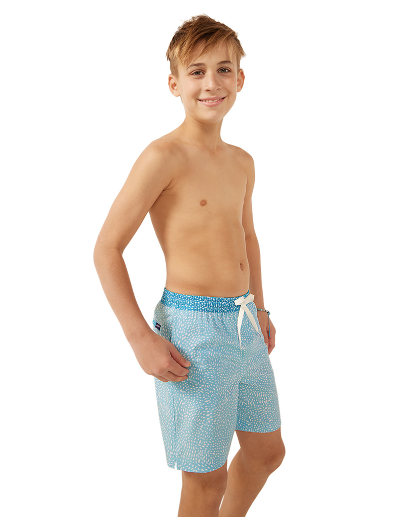 CHUBBIES Whale Sharks Boys 5.5'' Volley Shorts image number 2