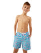 CHUBBIES The Domingos Are For Flamingos Boys 5.5'' Volley Shorts image number 5