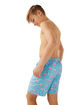 CHUBBIES The Domingos Are For Flamingos Boys 5.5'' Volley Shorts image number 3