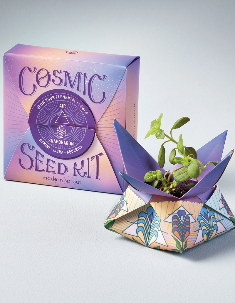 MODERN SPROUT Cosmic Seed Kit - Air Snapdragon image number 7