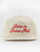 LANDERS SUPPLY HOUSE Born To Raise Hell Corduroy Snapback Hat image number 2