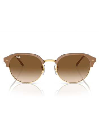 RAY-BAN Clubmaster RB4429 Sunglasses Alternative Image